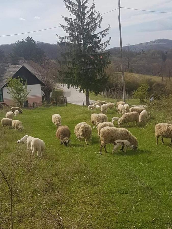 Apartamento Kod Slaveka Kostanjevac Exterior foto